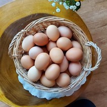 [연호농장] 무항생제 HACCP 인증 생계란 신선특란 30구, 3판 90구