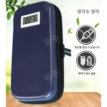 유주글로벌 인슐린냉장고 백신 주사보관함 화장품 약품아이스박스, 소형블랙+아이스바2개+아이스튜브2개