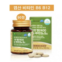 애플트리김약사네 그린 엽산 레몬에서 추출한 임산부 영양제 임신준비 임신중 수유부 부부 성장기 청소년 엽산보충제 비타민B6 비타민B12 천연엽산 합성첨가물 No