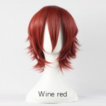 남자가발가격 남성가발 남자 헤어 중년 ILIDE-숏 스트레이트 합성 가발 17 색 고온 저항 애니메이션 파, 한개옵션1, 14 Wine Red
