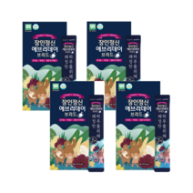 장인정신 에브리데이 도라지배즙 브리드 단품(13g X 15포) 4박스, 1세트