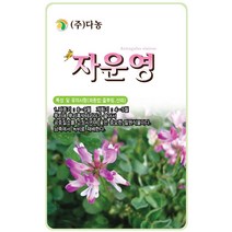 봉선화 8g - 야생화 씨앗 꽃씨 씨 꽃씨앗 봉선화씨앗 봉선화씨 야생화씨 야생화씨앗 꽃 봉숭아 봉숭아씨 봉숭아씨앗, 33_다농_자운영(2g)