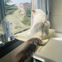 WonRay 고양이 윈도우 해먹 침대 캣타워, 베이지 메쉬