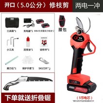 전동 전지가위 무선 충전 독일 전기 가위 과일 나무 충전식 가지 리튬 배터리 치기, 5 cm 배터리 2개 블레이드 2개