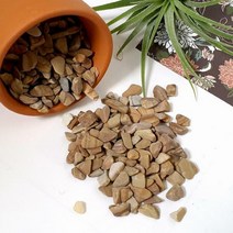 천연 목문석 1kg 정원자갈 어항 바닥재 화분 여과사 조경 테라리움, 7호(30~40mm) 1kg