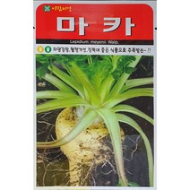 마카씨앗 100립 민속씨앗 아람종묘 23년