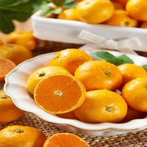 새콤달콤 제주 비가림 감귤 2.5kg (2S~M), 단품