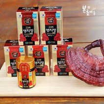 [본초마을] [본초마을]고려영지정골드(250g) 영지농축액 영지정 영지버섯 약재 한약재 홍삼, 1box, 250g