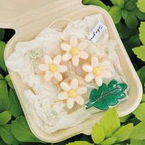 [모스큐브] 모기퇴치 천연 아로마 방향제 모빌/선물 답례품/데이지 아로마 안티버그 선캐쳐 고양이용, 추가(선물상자+기본포장제품), 베이지, 일반모스큐브용(기본형)