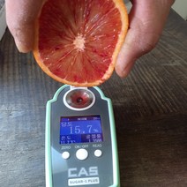 [4천원반짝할인/어버이날과일선물세트] 제주블러드오렌지 3kg(선물용 로얄과) 뜨거운 햇살과 바람을 담아 제주로부터 스위트오렌지 박스무게포함