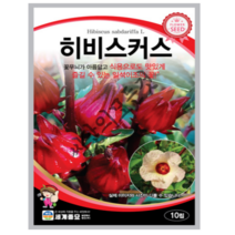 히비스커스 꽃씨 10립 로젤 식용가능 일년생 꽃종자
