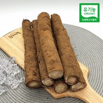 국산우엉 유기농 뿌리 말린 건우엉 통 생 차 건조 국내산우엉차 무농약 우엉말린거 우엉채 가루 분말