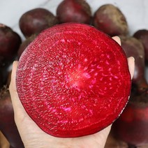 제주도 무농약비트 햇비트 생비트 비트 3kg, 푸띠 제주 무농약 비트 3kg 상 10개내외