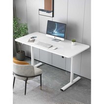 높이조절 책상 어른용 성인용 어린이용 전동 모션 데스크, 화이트