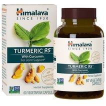 (번들) 히말라야 터메릭95 커큐민 60캡슐 2병 Himalaya Turmeric 95 with Curcumin