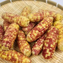 [100%품질보증제] 대용량 한입 소자 소 홍찰 찰옥수수 냉동 찐 삶은 옥수수 스몰 사이즈 (10-15cm내외), 홍찰옥수수(소10-15cm)30개