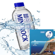 미네락 워터300 1000mlX10병 온가족생수 물처럼 마시는 미네랄, 미네락 워터300 250mlX60병