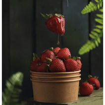 딸기 고령 최상급 프리미엄 설향 딸기 (당도보) 1팩 800g 900g 2팩 1.6kg 1.8kg 1, 2팩 48~60구 1.8kg