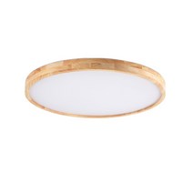 엣지 거실 안방 led 조명 등현대 단단한 나무 거실 침실 천장 램프 연구 통로 발코니, rc 디밍, 30cm