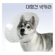 동물병원전용 대형견 중성화 넥카라 플라스틱 넥카라 길이조절가능, 넥카라  XXXL(30cm)