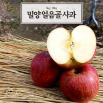 달콤 아삭 밀양 얼음골 사과 5kg 10kg 명절준비 설과일 지인선물, 10kg 24과내