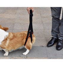 강아지 휠체어 교정 재활 보조기 고관절 발토 보호대, 통용형, 블랙룸 오렌지 파워 밴드 트럼펫
