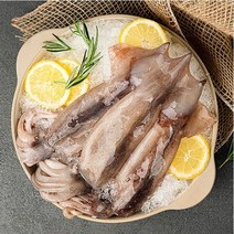 포클랜드 원양산 오징어 1kg 급냉 채낚기조업
