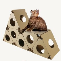 조립식 종이 캣타워 공간박스 골판지6p 아기고양이 원룸 길고양이 뚱냥이, 1개
