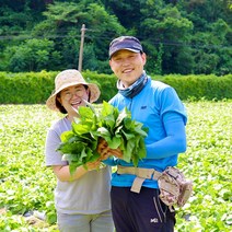 강원도 정선 건곤드레 냉동곤드레 마른 말린 곤드레 나물 건나물 500g, 1kg