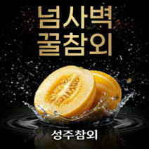 [가성비1등] N사1위 넘사벽 꿀참외 성주참외, 1박스,