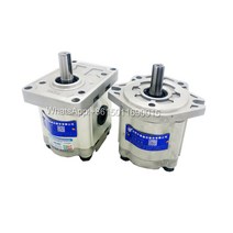 작은 CBW-F310/F314/F316/F320 오일 펌프 공압 유압 기어, 02 CBW-F304-CLP