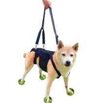 강아지 척추 보조기 허리 디스크 보호 재활 치료 교정, 검은색 허리  재활 벨트XS