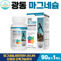 마그네슘 비타민B군 광동 뼈에좋은 식약처인증 갱년기 중년 뼈건강 마그내슘, 1박스, 광동마그네슘 3개월90정