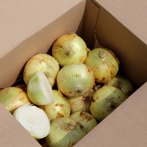 항채원 달큰아삭 신선한 국내산 햇양파 특대(350g이상) 당일선별 망포장 오늘출발, 1개, 특대3kg