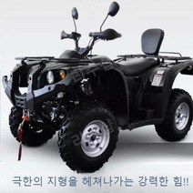 ATV 전지형 4륜 구동 오프로드 성인 오토바이 카트, 프리