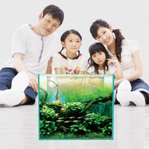 디아망 1자 미니 베타 새우 유리 구피 어항, 어항 S250