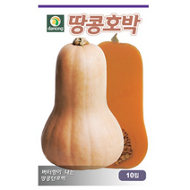 다농 땅콩호박씨앗 호박씨앗 10p, 14개