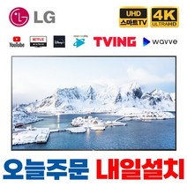 LG전자 65인치 (165cm) 올레드 EVO UHD 4K 스마트 웹OS TV 갤러리형 OLED65G1, 매장직접수령