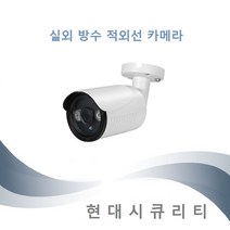 실외 방수 적외선 CCTV 카메라 하이브리드 SKY-202BI, 24IR