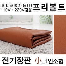 110V 220V겸용 프리볼트 1인용 전기장판 소형, 단일속성