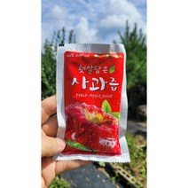 자연이 품은 영주 햇사과즙 풋사과즙 사과쥬스120ml, 홍로 풋사과즙120ml 100포, 120ml