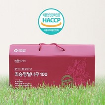 정선토종벌나무 벌나무즙 100ml 30포 최승영벌나무100