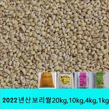 잡곡은보약 보리쌀 2022년생산 국내산, 1포, 10kg