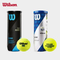 윌슨 Wilson테니스공 US open 롤랑가로스 상하이 프로 대회 리바운드 테니스 3 캡슐, 롤랑가로스 B