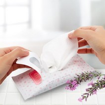 JILGYUNGYI 페미닌 티슈 라이트(10매입) x10 + 샘플킷(2ea) x2, FREE