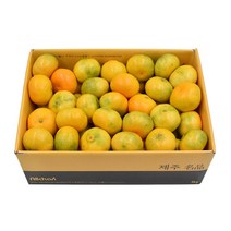 삼다몰 제주 비가림 하우스 감귤 3kg 5kg 10kg, 중과 5kg M~L(41~60과 내외), 1박스