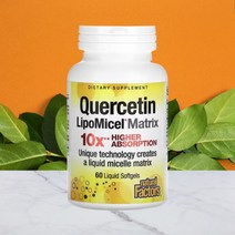 팩터스 퀘르세틴 리포미셀 액상 250mg 60캡슐 회화나무 추출물 포스파티딜콜린 케르세틴