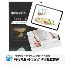 아이패드 미니5 태블릿 종이질감 액정필름