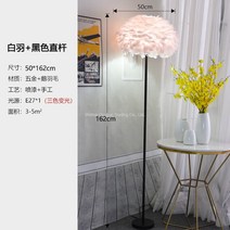 WARM프리미엄 깃털스탠드 인테리어 롱 스탠드 장 거실 플로어 스탠딩 소품 조명, 화이트우드+블랙 스트레이트 스탠드 3색광 증정