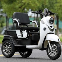 전기스쿠터 노인전동차 3 전동 바이크 세발 삼륜, 밀라노A(배터리충전기X디스크/드럼)48V